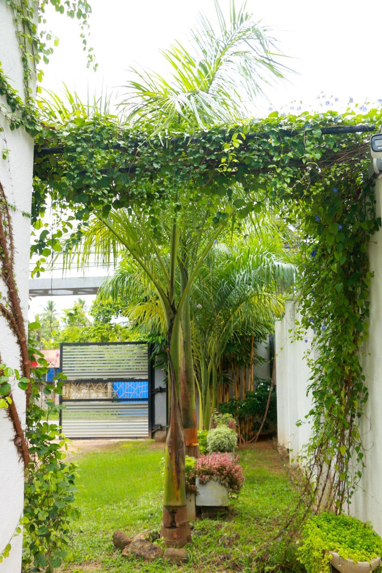 Venus Heaven Luxurious Villa Tangalle Kültér fotó